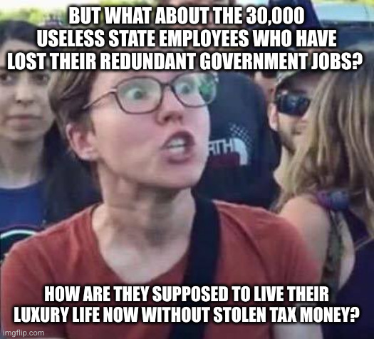 Angry Liberal | BUT WHAT ABOUT THE 30,000 USELESS STATE EMPLOYEES WHO HAVE LOST THEIR REDUNDANT GOVERNMENT JOBS? HOW ARE THEY SUPPOSED TO LIVE THEIR LUXURY  | image tagged in angry liberal | made w/ Imgflip meme maker