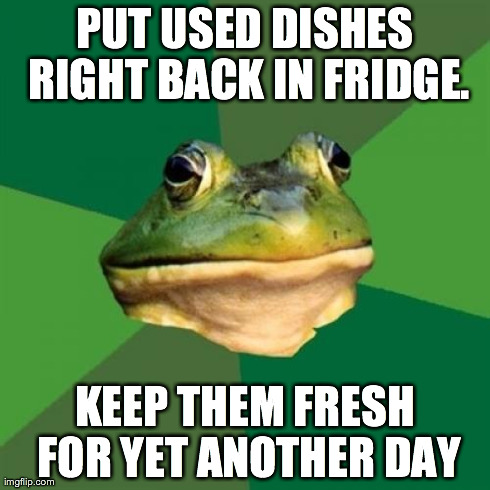 Foul Bachelor Frog Meme | PUT USED DISHES RIGHT BACK IN FRIDGE. KEEP THEM FRESH FOR YET ANOTHER DAY | image tagged in memes,foul bachelor frog | made w/ Imgflip meme maker