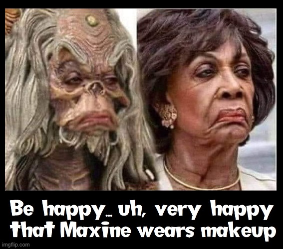 Mad Max's Look Reflects the Hatred in her Heart | image tagged in vince vance,maxine waters,pure evil,memes,corrupt,putrid | made w/ Imgflip meme maker