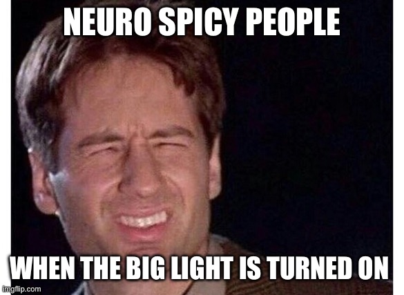 Big Light Cringe | NEURO SPICY PEOPLE; WHEN THE BIG LIGHT IS TURNED ON | image tagged in too bright | made w/ Imgflip meme maker