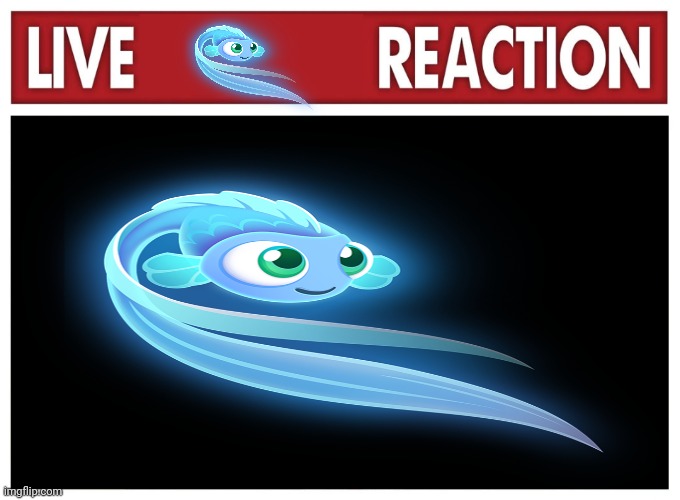 Live reaction | image tagged in live reaction | made w/ Imgflip meme maker