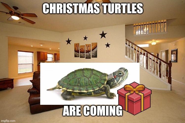 The christmas turtles arrived on every house | CHRISTMAS TURTLES; ARE COMING | image tagged in living room ceiling fans | made w/ Imgflip meme maker