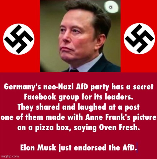 NAZI | . | image tagged in musk,trump,maga,nazi,fascist,hate | made w/ Imgflip meme maker
