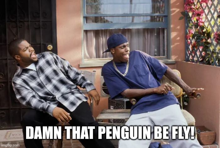 Friday Damn | DAMN THAT PENGUIN BE FLY! | image tagged in friday damn | made w/ Imgflip meme maker