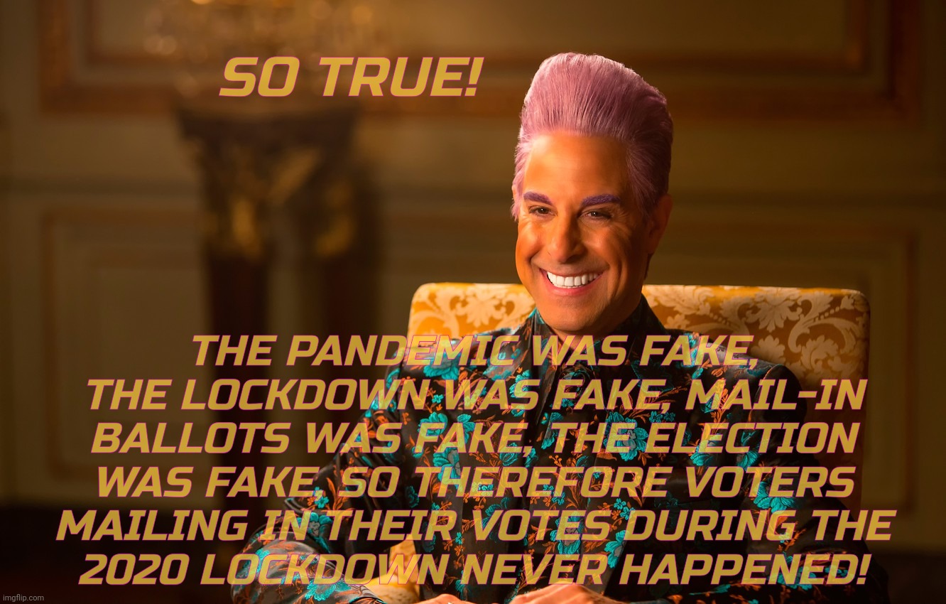 Caesar Fl | SO TRUE! THE PANDEMIC WAS FAKE, THE LOCKDOWN WAS FAKE, MAIL-IN BALLOTS WAS FAKE, THE ELECTION WAS FAKE, SO THEREFORE VOTERS MAILING IN THEIR | image tagged in caesar fl | made w/ Imgflip meme maker