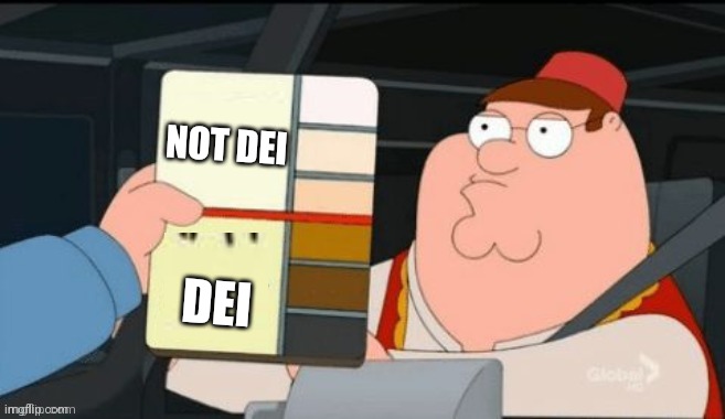 DEI criteria | NOT DEI; DEI | image tagged in peter griffin traffic stop | made w/ Imgflip meme maker