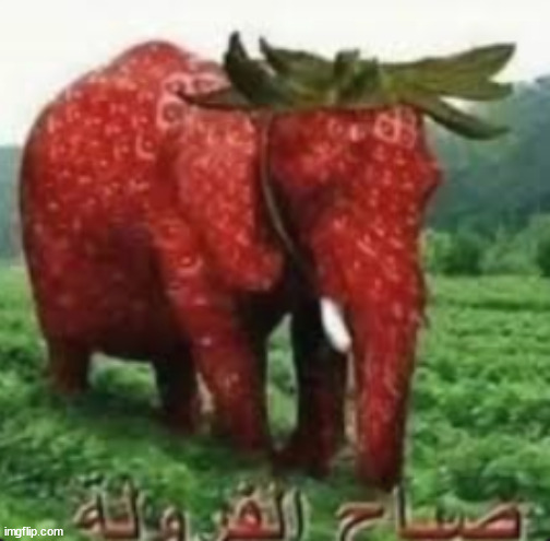 ANDONANDONWEGO | image tagged in strawberry,elephant,thing,idk | made w/ Imgflip meme maker