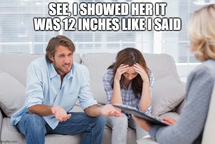 couples therapy | SEE, I SHOWED HER IT WAS 12 INCHES LIKE I SAID | image tagged in couples therapy | made w/ Imgflip meme maker