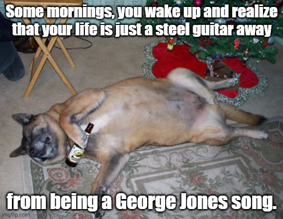 Some mornings... | Some mornings, you wake up and realize that your life is just a steel guitar away; from being a George Jones song. | image tagged in life,drunk,sad,george jones,tired,life is a mess | made w/ Imgflip meme maker