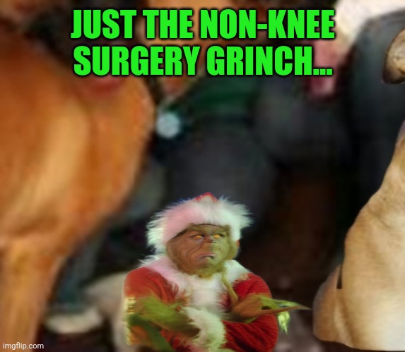 JUST THE NON-KNEE SURGERY GRINCH... | made w/ Imgflip meme maker