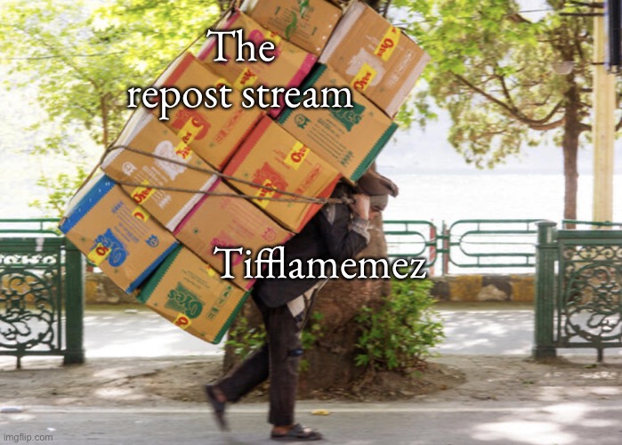 Carrying a heavy load on your back | The repost stream; Tifflamemez | image tagged in carrying a heavy load on your back | made w/ Imgflip meme maker
