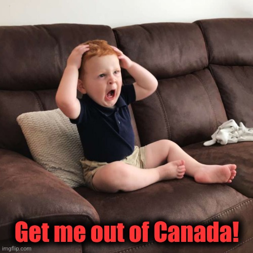 Terrified Toddler | Get me out of Canada! | image tagged in terrified toddler | made w/ Imgflip meme maker