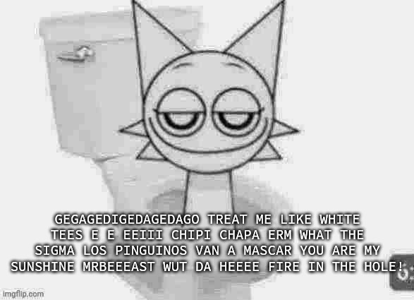 Skibidi Wenda singing Edgepresso by Skibidina Ohiopenter | GEGAGEDIGEDAGEDAGO TREAT ME LIKE WHITE TEES E E EEIII CHIPI CHAPA ERM WHAT THE SIGMA LOS PINGUINOS VAN A MASCAR YOU ARE MY SUNSHINE MRBEEEAST WUT DA HEEEE FIRE IN THE HOLE! | image tagged in skibidi wenda low quality,memes,edgepresso,skibidina ohiopenter,skibidi toilet | made w/ Imgflip meme maker