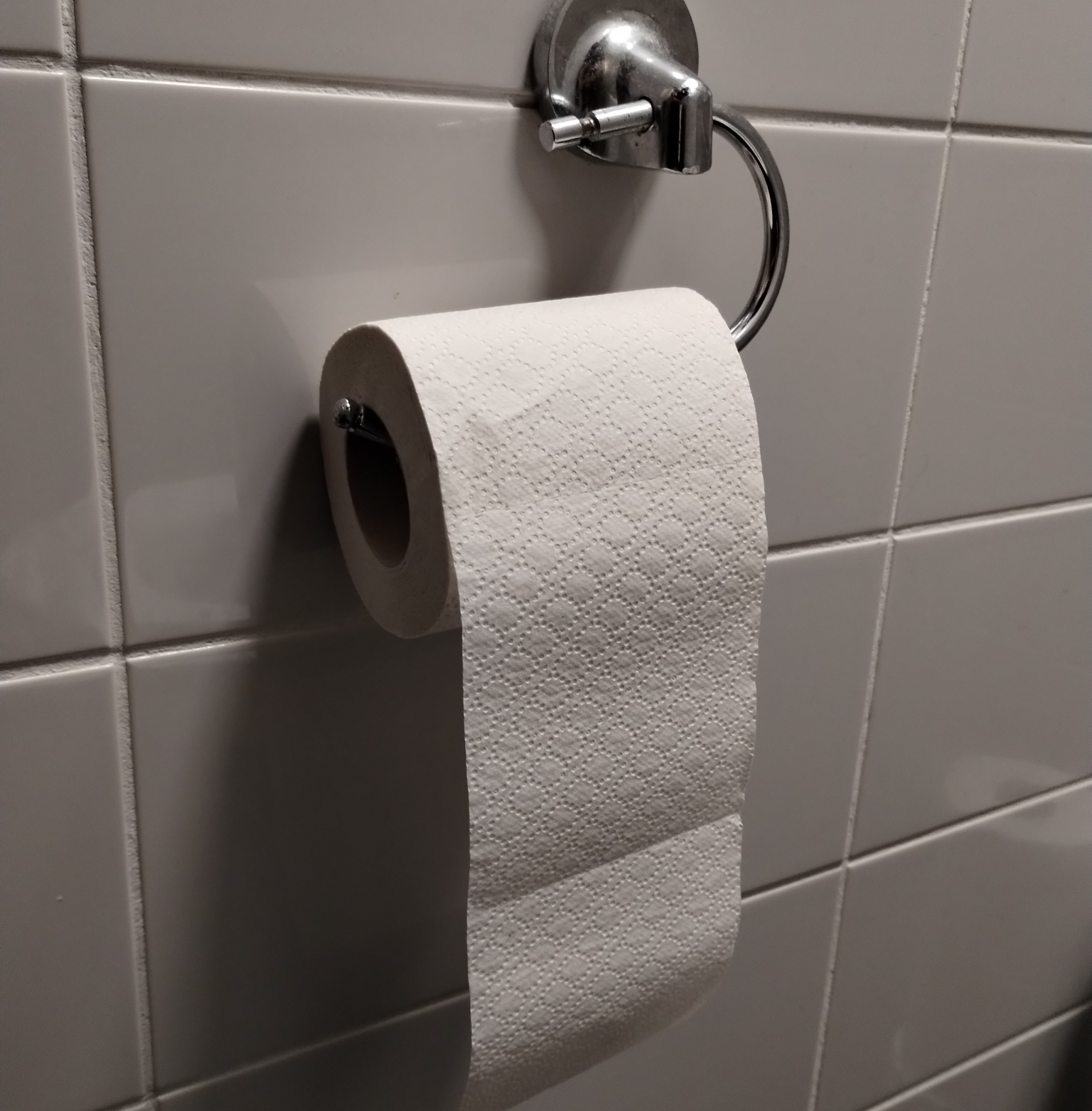 correct toilet roll Blank Meme Template