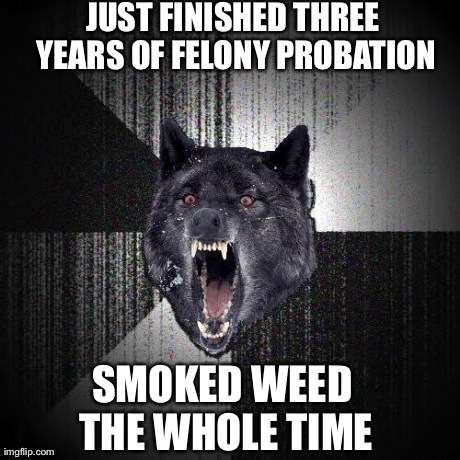 Insanity Wolf Meme | JUST FINISHED THREE YEARS OF FELONY PROBATION SMOKED WEED THE WHOLE TIME | image tagged in memes,insanity wolf,AdviceAnimals | made w/ Imgflip meme maker