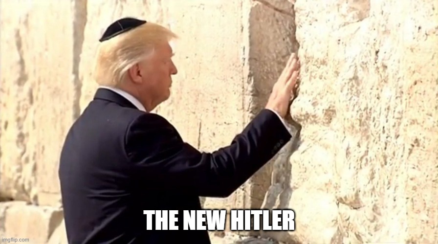 Nazis fail | THE NEW HITLER | image tagged in nazis fail | made w/ Imgflip meme maker