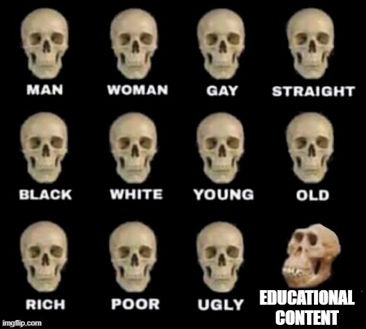 idiot skull | EDUCATIONAL CONTENT | image tagged in idiot skull | made w/ Imgflip meme maker