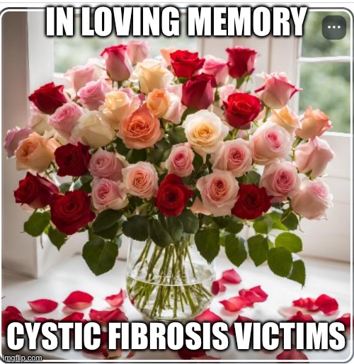 A more personal meme for me. | IN LOVING MEMORY; CYSTIC FIBROSIS VICTIMS | image tagged in sixty-five roses | made w/ Imgflip meme maker