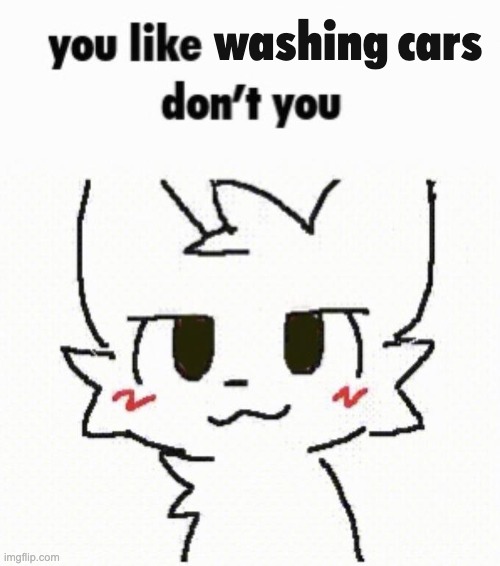 you like kissing boys don't you | washing cars | image tagged in you like kissing boys don't you | made w/ Imgflip meme maker