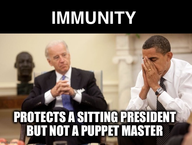 Obama’s IMMUNITY ended in 2017 | IMMUNITY; PROTECTS A SITTING PRESIDENT 
BUT NOT A PUPPET MASTER | image tagged in biden obama | made w/ Imgflip meme maker