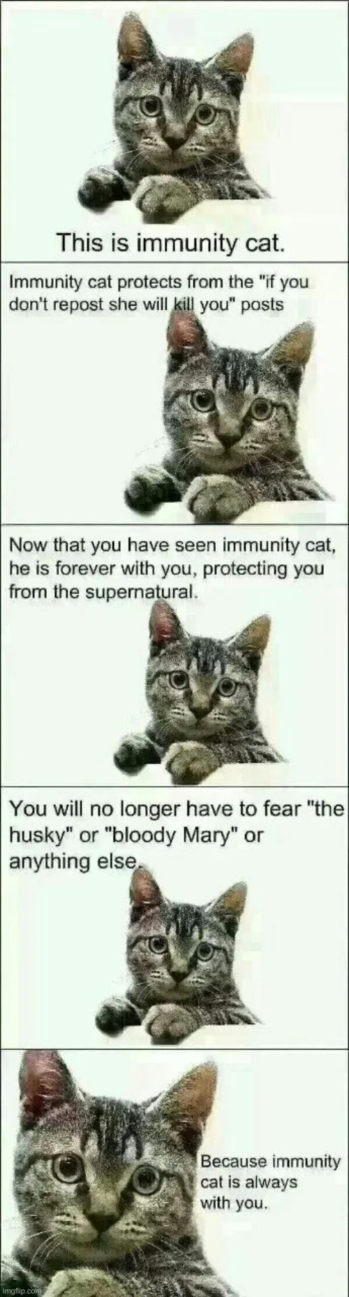 found this on reddit | image tagged in immunity cat | made w/ Imgflip meme maker