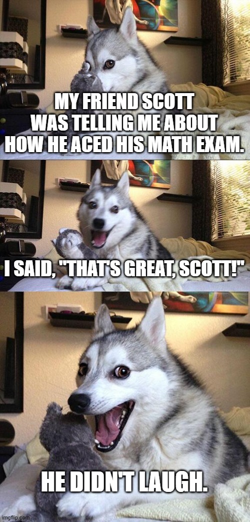 Great Scott, Marty | MY FRIEND SCOTT WAS TELLING ME ABOUT HOW HE ACED HIS MATH EXAM. I SAID, "THAT'S GREAT, SCOTT!"; HE DIDN'T LAUGH. | image tagged in memes,bad pun dog | made w/ Imgflip meme maker