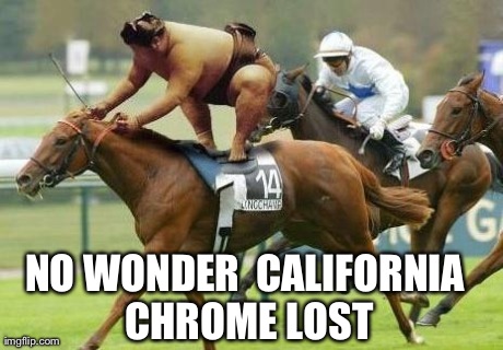 NO WONDER CALIFORNIA CHROME LOST | image tagged in triple ton winner | made w/ Imgflip meme maker