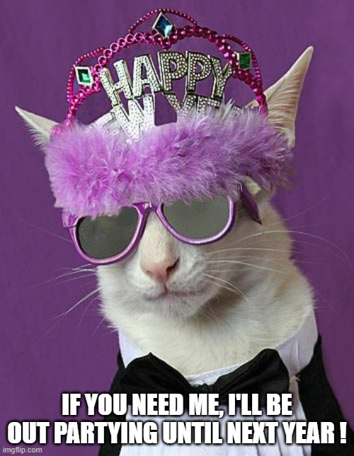 memes by Brad - Cat is going to party until the New Year - humor - | IF YOU NEED ME, I'LL BE OUT PARTYING UNTIL NEXT YEAR ! | image tagged in cats,kittens,new year,happy new year,funny,humor | made w/ Imgflip meme maker