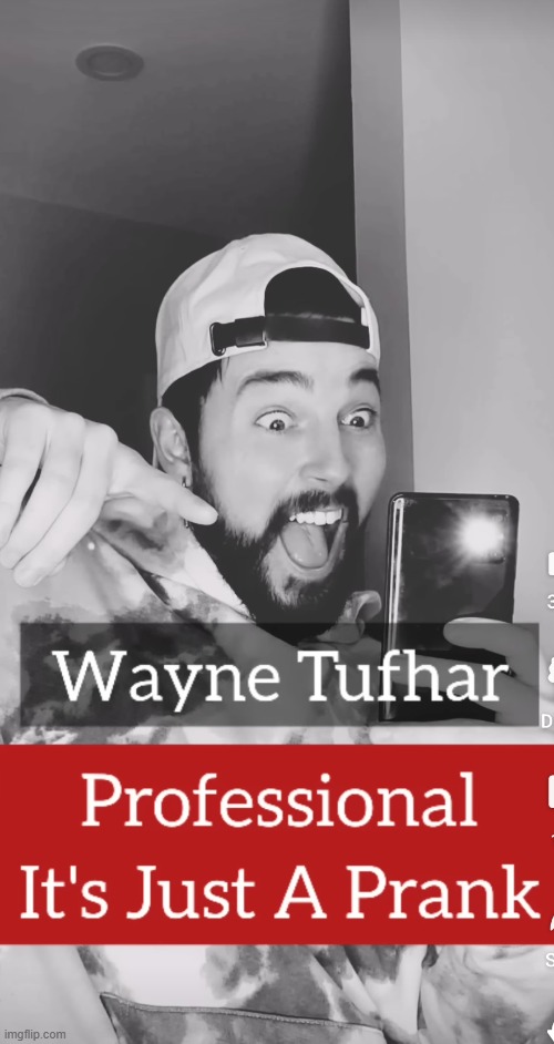 image tagged in wayne tuhfar professional it's just a prank | made w/ Imgflip meme maker