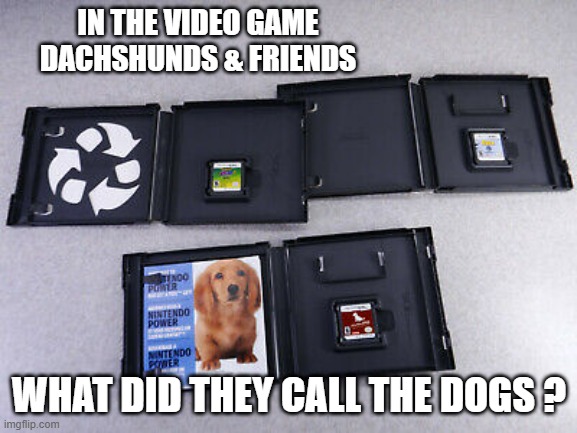 memes by Brad - In the video game Dachshund & Friends what are the dogs called? | IN THE VIDEO GAME DACHSHUNDS & FRIENDS; WHAT DID THEY CALL THE DOGS ? | image tagged in gaming,games,video games,dogs,nintendo | made w/ Imgflip meme maker