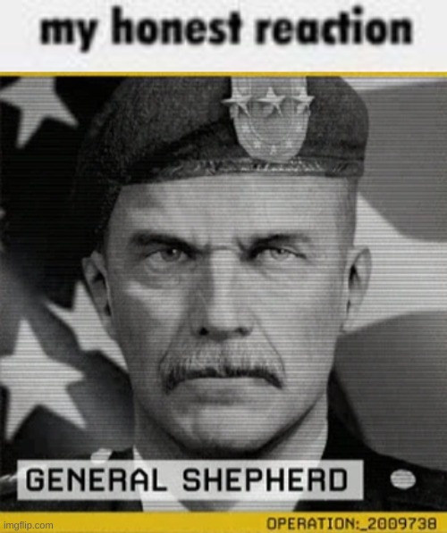 so I figured i'd only do shitposts when i'm here so yea(not exactly here per say, but eh) | image tagged in my honest reaction,general shepherd profile image | made w/ Imgflip meme maker