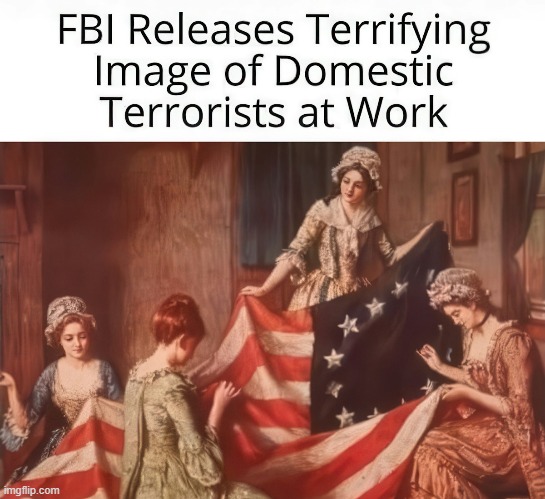 The changing definition of domestic terrorism | image tagged in terrorism,redefined,upside down,change,definition,modern problems | made w/ Imgflip meme maker