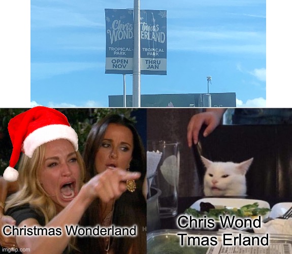 Woman Yelling At Cat | Christmas Wonderland; Chris Wond
Tmas Erland | image tagged in memes,woman yelling at cat | made w/ Imgflip meme maker