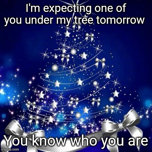 Merry Christmas  | I'm expecting one of you under my tree tomorrow; You know who you are | image tagged in merry christmas | made w/ Imgflip meme maker