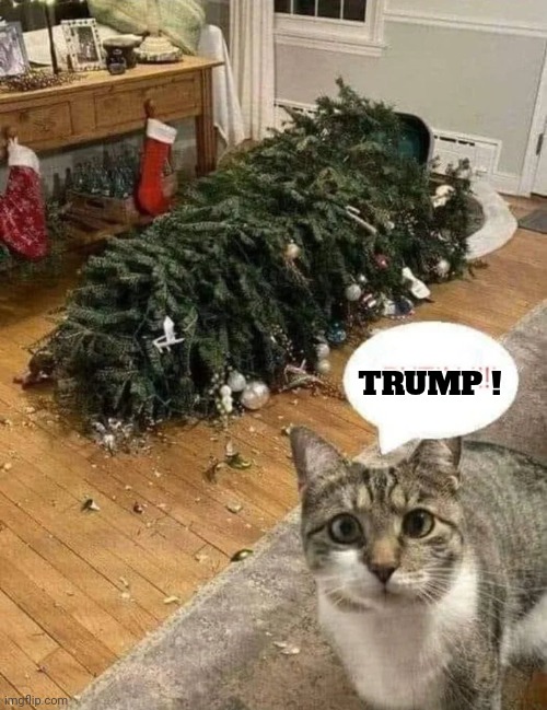 Cats are Democrats ? | TRUMP ! | image tagged in tds,grumpy cat,makes sense,i could have guessed,blame russia | made w/ Imgflip meme maker