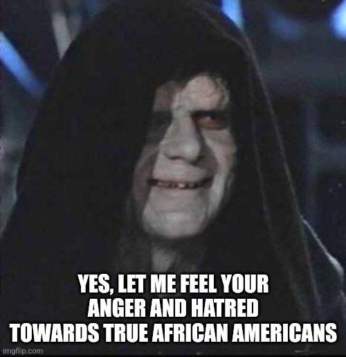Sidious Error Meme | YES, LET ME FEEL YOUR ANGER AND HATRED TOWARDS TRUE AFRICAN AMERICANS | image tagged in memes,sidious error | made w/ Imgflip meme maker