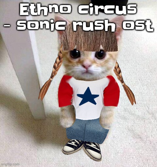 Nyami | Ethno circus - sonic rush ost | image tagged in nyami | made w/ Imgflip meme maker