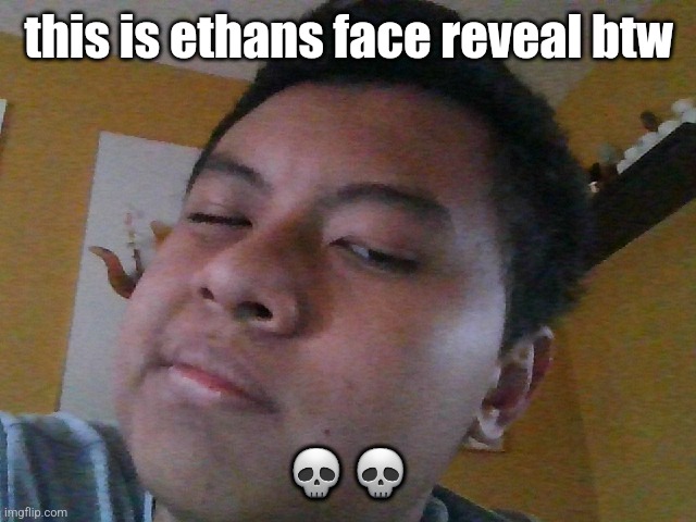 Ethan go bro | this is ethans face reveal btw; 💀💀 | image tagged in ethan go bro | made w/ Imgflip meme maker