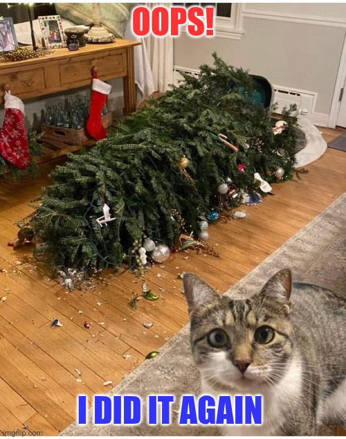 Oops | OOPS! I DID IT AGAIN | image tagged in cat christmas tree,funny memes | made w/ Imgflip meme maker