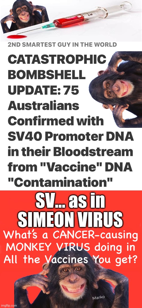 You haven’t Evolved from them. But Now… their DNA is coursing through Your veins. You CONSENTED to that | SV… as in
SIMEON VIRUS; What’s a CANCER-causing
MONKEY VIRUS doing in
All the Vaccines You get? Marko | image tagged in memes,gene therapy experiments on humans,willing participants say yes please,do me more,leftists can kissmyass | made w/ Imgflip meme maker