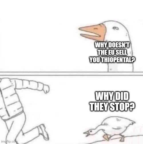 Goose Chase | WHY DOESN'T THE EU SELL YOU THIOPENTAL? WHY DID THEY STOP? | image tagged in goose chase | made w/ Imgflip meme maker