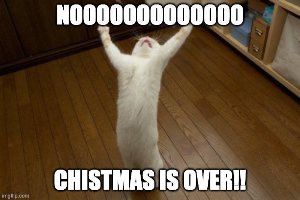 Cat | NOOOOOOOOOOOOO; CHISTMAS IS OVER!! | image tagged in funny memes | made w/ Imgflip meme maker