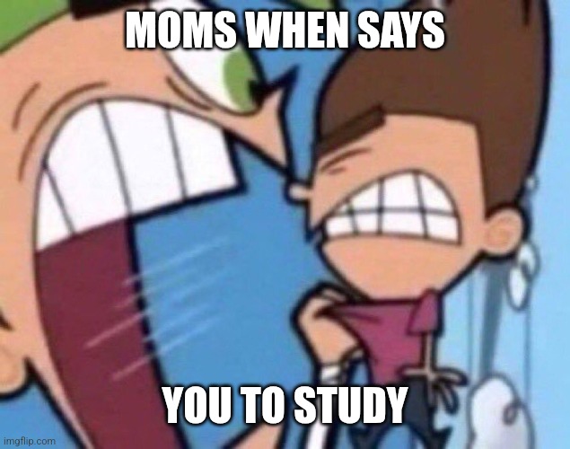 Moms | MOMS WHEN SAYS; YOU TO STUDY | image tagged in cosmo screaming | made w/ Imgflip meme maker