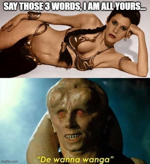 Say It Bib | SAY THOSE 3 WORDS, I AM ALL YOURS... | image tagged in hot princess leia star wars | made w/ Imgflip meme maker