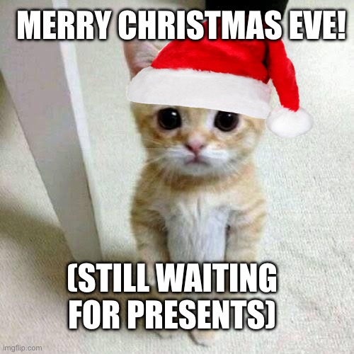 Merry Xmas eve! | MERRY CHRISTMAS EVE! (STILL WAITING FOR PRESENTS) | image tagged in el gato,cat,funny memes,merry christmas,christmas | made w/ Imgflip meme maker