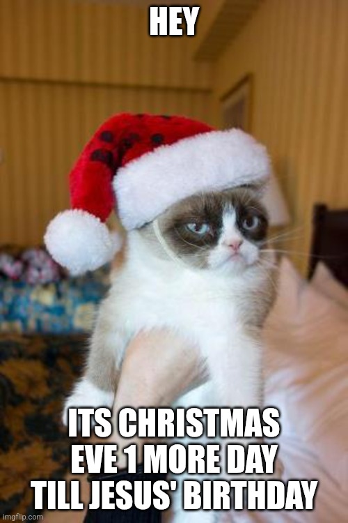 Its Xmas Eve | HEY; ITS CHRISTMAS EVE 1 MORE DAY TILL JESUS' BIRTHDAY | image tagged in memes,grumpy cat christmas,grumpy cat | made w/ Imgflip meme maker