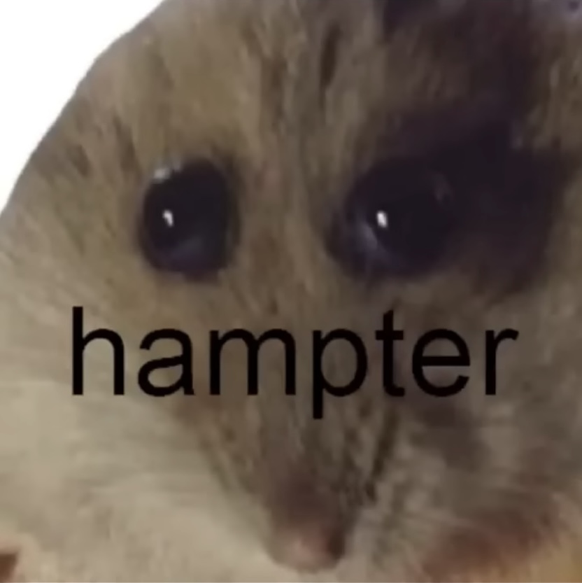 HAMPTER Blank Meme Template