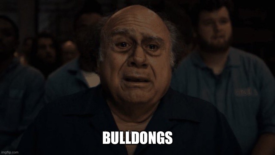 Danny devito | BULLDOGS | image tagged in danny devito | made w/ Imgflip meme maker