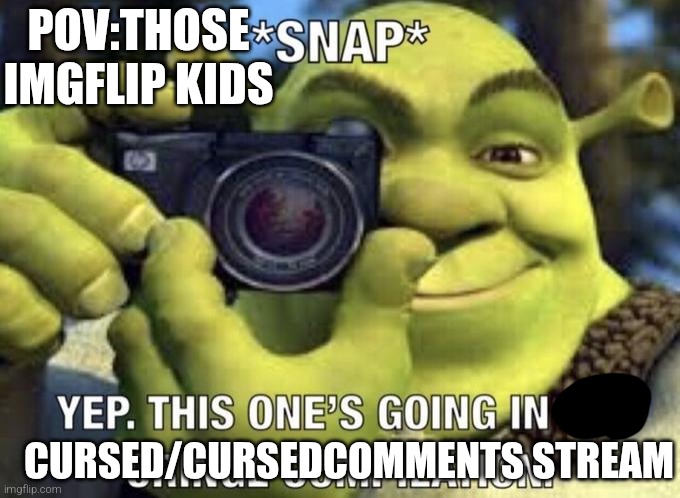 yep this one's going in my cringe compilation | POV:THOSE IMGFLIP KIDS; CURSED/CURSEDCOMMENTS STREAM | image tagged in yep this one's going in my cringe compilation,imgflip kids,kids,children,funny,memes | made w/ Imgflip meme maker