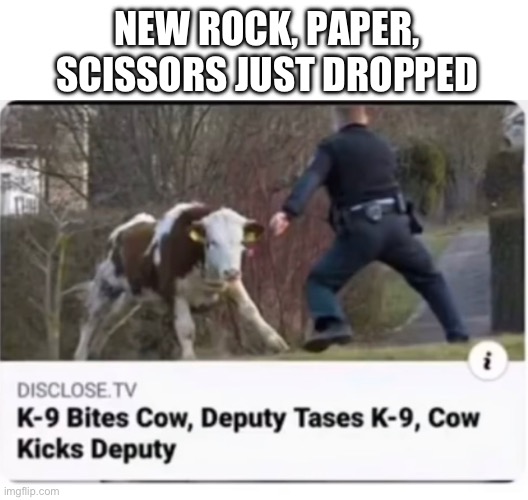 I will def play it | NEW ROCK, PAPER, SCISSORS JUST DROPPED | image tagged in funny,fun,memes | made w/ Imgflip meme maker